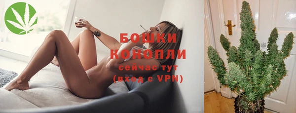 стаф Ессентукская