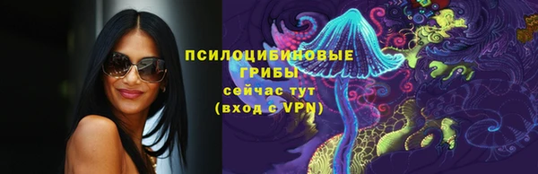 СК Каменногорск