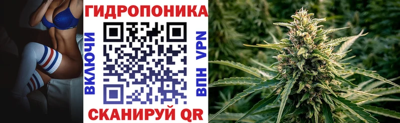 OMG как зайти  Дорогобуж  Конопля индика 
